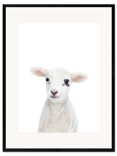 Plakat artystyczny premium w ramie Baby Lamb