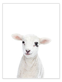 Poster  Bébé mouton - Sisi And Seb