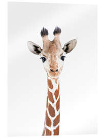 Obraz na szkle akrylowym  Mała żyrafka - Sisi And Seb