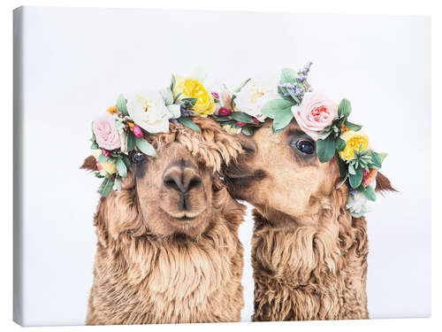 Canvas print Boho Llamas