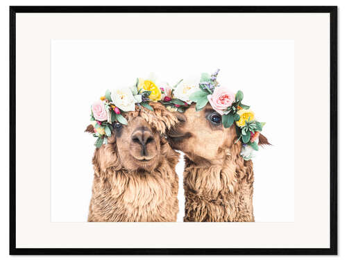 Gerahmter Kunstdruck Blumenlamas