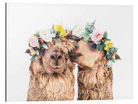 Magnettafel Blumenlamas