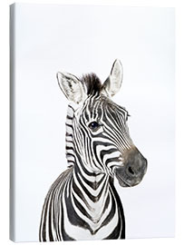 Obraz na płótnie  Baby Zebra - Sisi And Seb