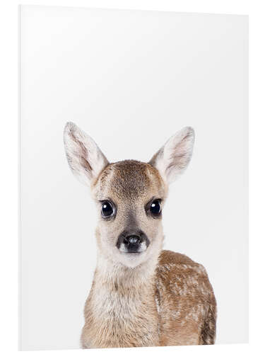 Foam board print Baby Deer