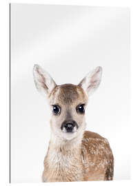 Gallery print Baby Deer