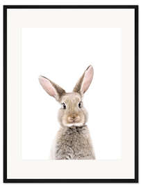 Gerahmter Kunstdruck Babykaninchen - Sisi And Seb