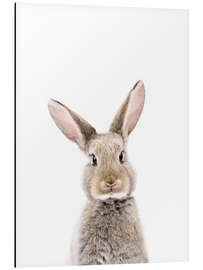 Magnettafel Babykaninchen