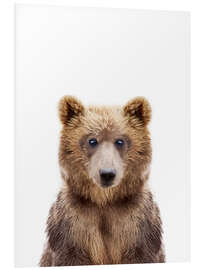 Foam board print Brown Bear