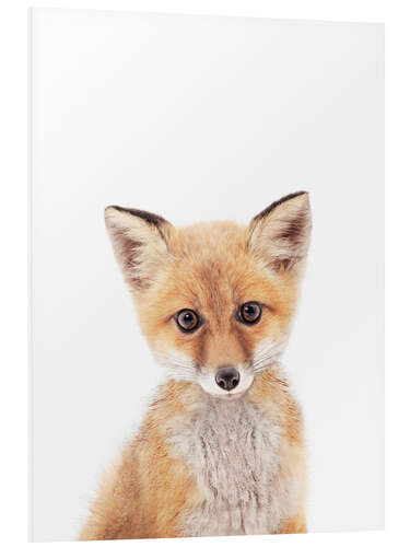 Foam board print Baby Fox