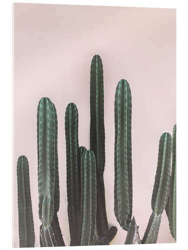 Acrylic print Mexican Cactus