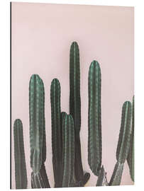 Aluminium print Mexican Cactus