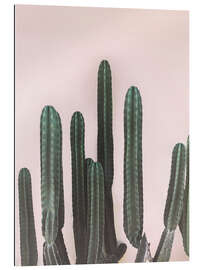 Gallery print Mexican Cactus