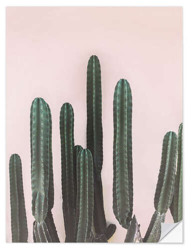 Sticker mural Cactus mexicain