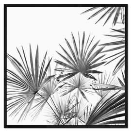 Gerahmter Kunstdruck Palmenfächer