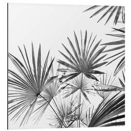 Magnettafel Palmenfächer