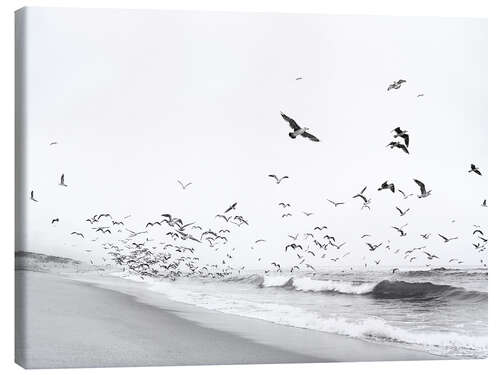 Tableau sur toile Oiseaux à la mer