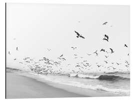 Magnettafel Vögel am Meer