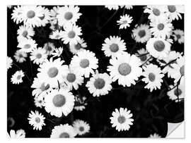 Wall sticker Daisies