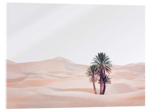 Acrylic print Oasis