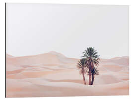 Aluminium print Oasis