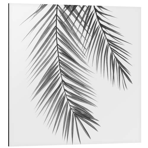 Aluminium print Palm Leaves III