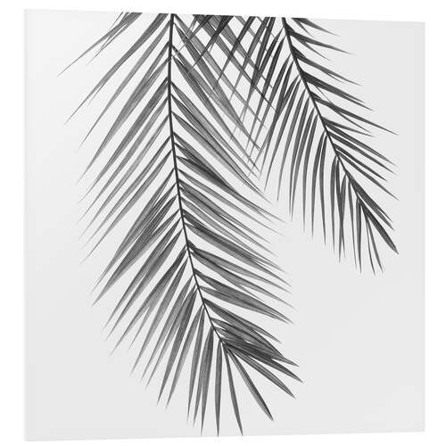 Foam board print Palm Leaves III