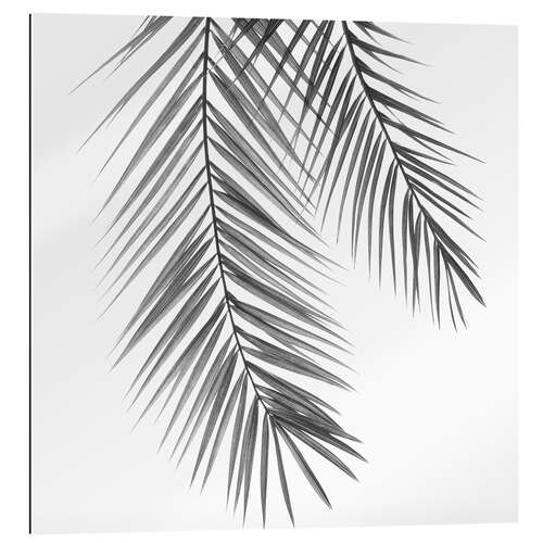 Gallery print Palm Leaves III