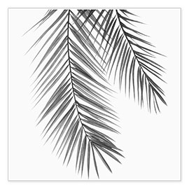 Juliste Palm Leaves III