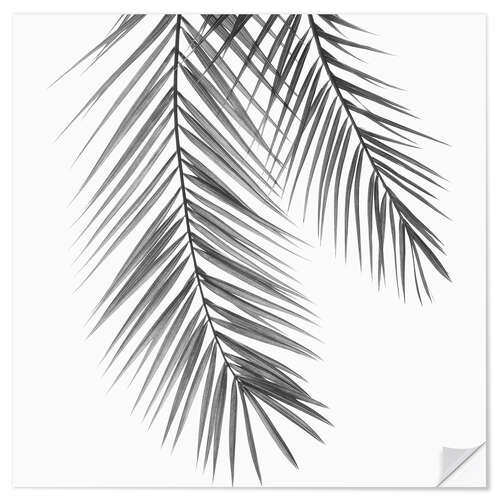 Wall sticker Palm Leaves III