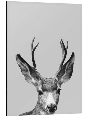 Aluminium print Gray deer