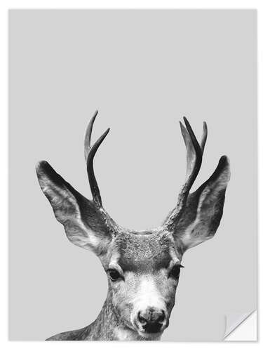 Självhäftande poster Gray deer