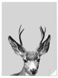 Wall sticker Gray deer