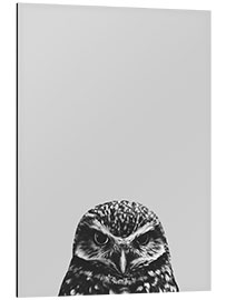 Aluminium print Gray owl