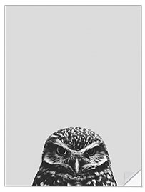 Wall sticker Gray owl