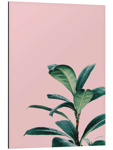 Aluminium print Exotic Pink III