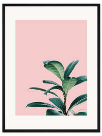 Gerahmter Kunstdruck Exotic Pink III