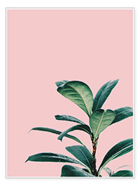 Poster Exotic Pink III