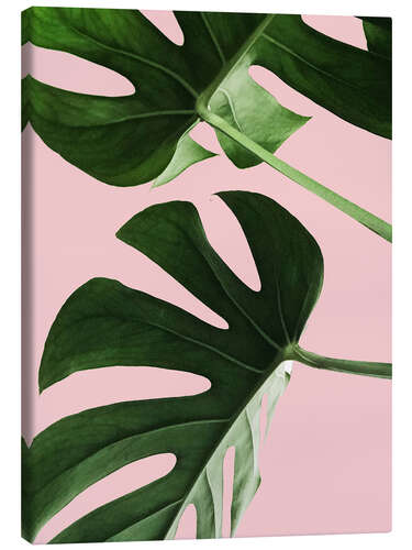 Canvas print Exotic Pink I