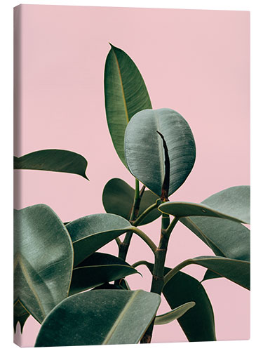 Canvas print Exotic Pink II