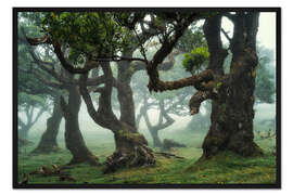 Gerahmter Kunstdruck Kreaturen des Nebels