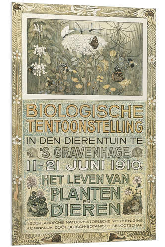 Foam board print Biological exhibition of 1910 (Dutch)