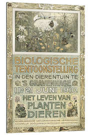 Gallery print Biological exhibition of 1910 (Dutch)