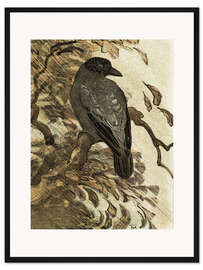 Gerahmter Kunstdruck Nebelkrähe auf einem Ast