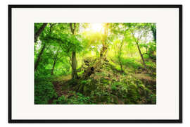 Gerahmter Kunstdruck Leuchtend grüner Wald mit Sonne im sagenhaften Harz
