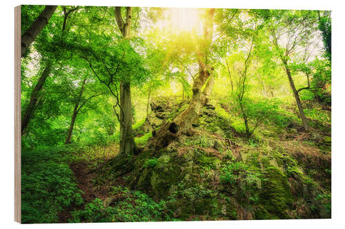 Holzbild Leuchtend grüner Wald mit Sonne im sagenhaften Harz