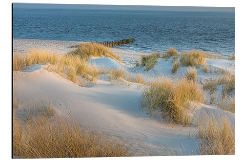 Aluminium print Dunes on Sylt