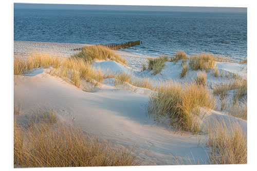 Foam board print Dunes on Sylt