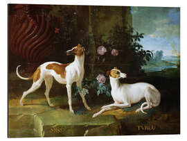 Print på aluminium Misse and Turlu, two greyhounds by Louis XV