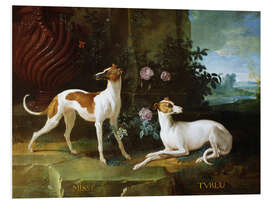 PVC print Misse and Turlu, two greyhounds by Louis XV