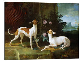 Gallery print Misse and Turlu, two greyhounds by Louis XV